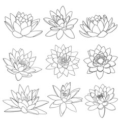 Fototapeta premium Waterlily flowers line art collection, isolated lotus flower clip arts, icon set