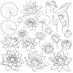 Waterlily flowers and leaves line art collection, isolated lotus flower clip arts, icon set
