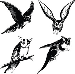 Sugar marsupial fly, or sugar flying posum Silhouette of a sugar glider Sugar glider animal design, illustration, vector with black color, pink background. Sugar glider flies. Monochrome contour vecto
