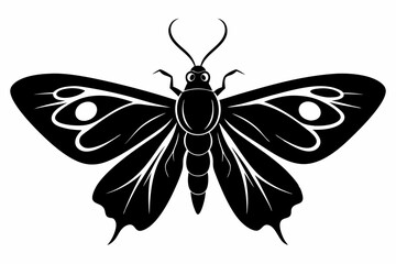 moth silhouette black vector