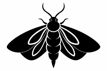 moth silhouette black vector