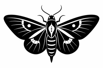 moth silhouette black vector