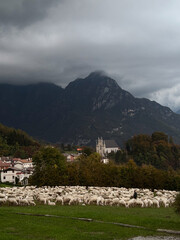Fototapeta premium Mountain Pasture: Sheep and Village Landscape, Clouds 