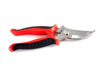 red secateurs in studio