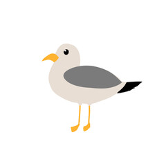 bird, animals