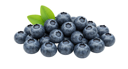 Isolated Pile of Fresh Blueberries