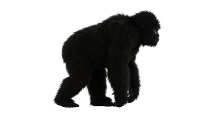 Isolated Silhouette of Gorilla