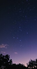 Fototapeta premium night sky with stars