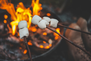 Group of people roasting marshmallows over a campfire, holding sticks with marshmallows near bright...