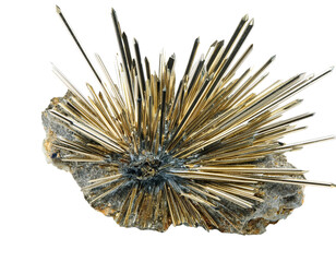 Obraz premium Golden mineral cluster