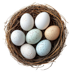 Obraz premium Isolated Colorful Eggs in Nest on Transparent Background