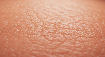 Close up Detailed Texture of Human Skin Fine Hair and Pores Visible