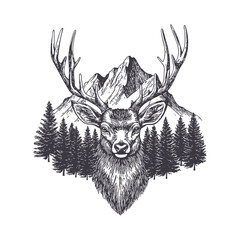 Obraz premium Majestic Deer in the Wilderness. Vector illustration