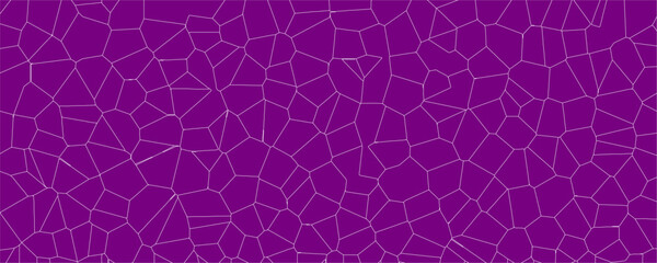 Complex Organic Texture with Modern Geometric Network Design


