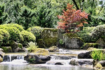 Gartenarchitektur Teich