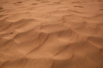 sand dunes in the desert