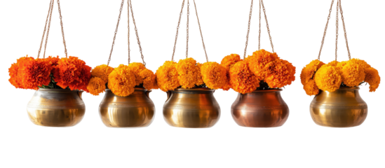 Celestial Blooms: Five ornate brass pots suspended gracefully from above, each overflowing with vibrant marigold blooms, creating a symphony of color and texture