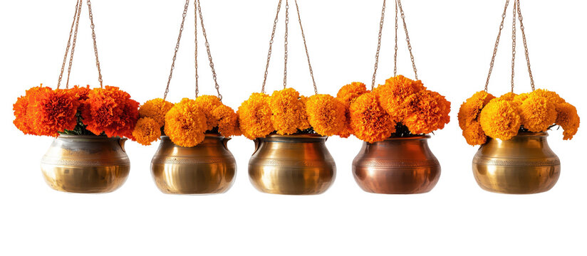 Celestial Blooms: Five ornate brass pots suspended gracefully from above, each overflowing with vibrant marigold blooms, creating a symphony of color and texture