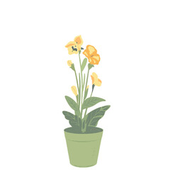 flower and plant