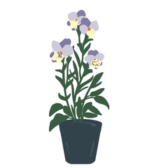 flower and plant