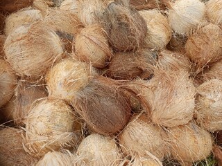 close up of coconut