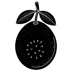 vector illustration of an apple