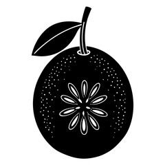 vector illustration of an apple