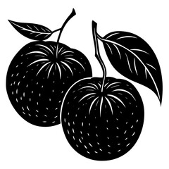 vector illustration of an apple