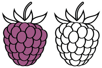 Duo Raspberry Vector, Purple Berries Outline Illustration, Isolated on White Background