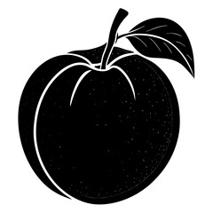 vector illustration of an apple