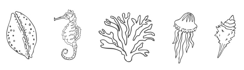 Sea shell sketch ocean life hand drawn illustration. Outline modern style, summer, vacation, beach design elements. Coral and seaweed, starfish line. 