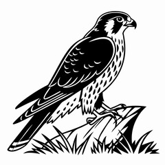Fototapeta premium Merlin black silhouette icon vector