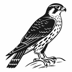 Merlin black silhouette icon vector