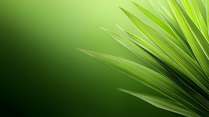 Close Up Of Lush Green Grass With Water Drops