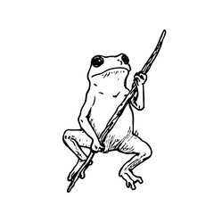Funny Frog Warrior Holding Spear – Hand Drawn Amphibian Illustration for Tattoo, Sticker, or Fantasy Art Design