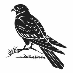 Fototapeta premium nightjar black silhouette icon vector