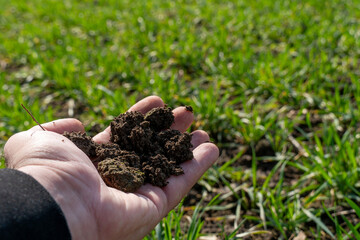 A hand holds a handful of dark, moist soil while standing in a vibrant green field, demonstrating preparation for planting during the spring season