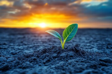 A single seed sprouting in a barren desert, with the first green leaf emerging from the dry soil under a dramatic sky