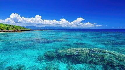 Obraz premium Tropical coastline with visible coral reefs in the shallow waters.