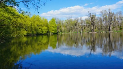 A serene lake scene with sunlight filtering through the surrounding trees