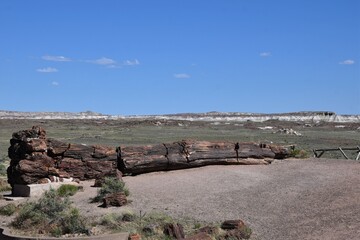 Petrified Forest National Park near Holbrook Arizona