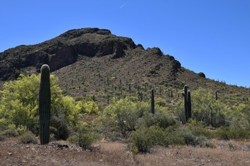 Picacho Peak in central Arizona site of the only Civil War battle in Arizona