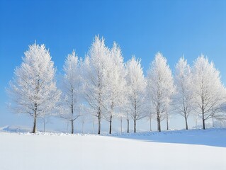 trees in winter