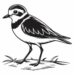 Piping plover black silhouette icon vector