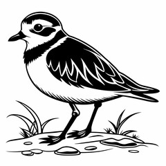 Obraz premium Piping plover black silhouette icon vector