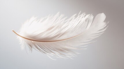 Obraz premium Ethereal white feather floating in soft light with intricate details on a transparent background, symbolizing lightness, purity, and elegance
