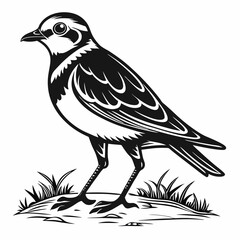 Piping plover black silhouette icon vector