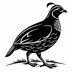 quail black silhouette icon vector