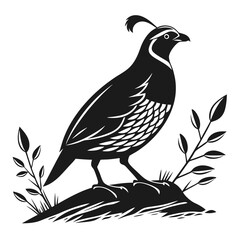 quail black silhouette icon vector
