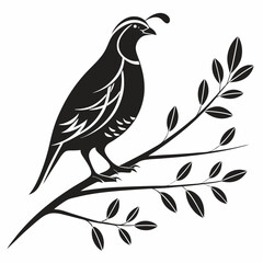 quail black silhouette icon vector